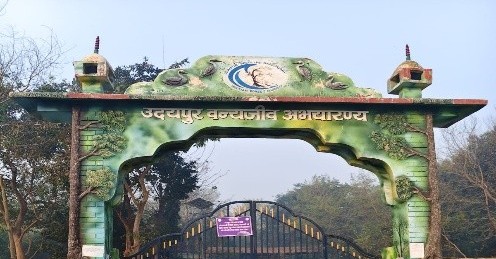 wildlife_image_udaypur