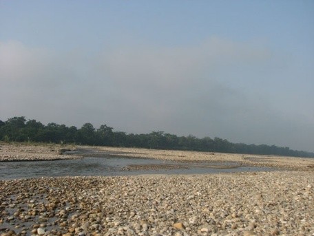 wildlife_image_valmiki_9